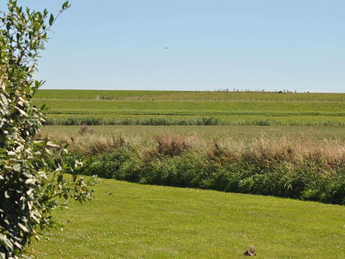 Charming Holiday Home In Texel Near Sea Oost  Zewnętrze zdjęcie